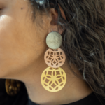 A Pair of Earrings